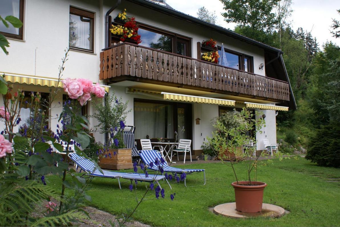 Black Forest Apartments Titisee المظهر الخارجي الصورة