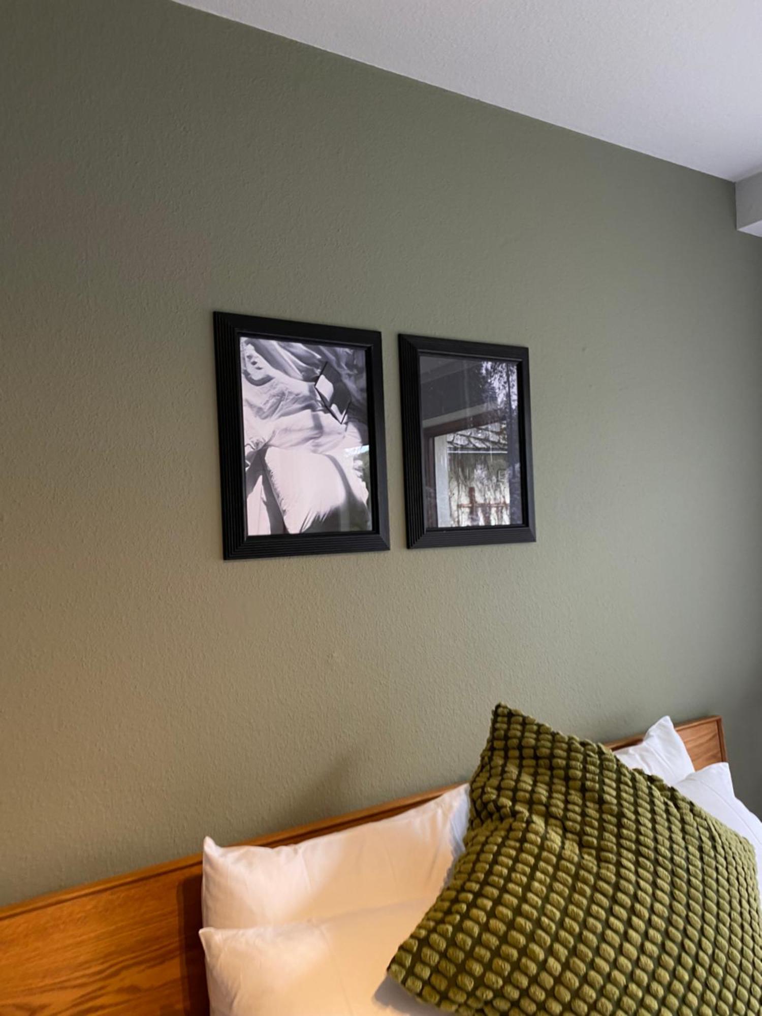 Black Forest Apartments Titisee المظهر الخارجي الصورة