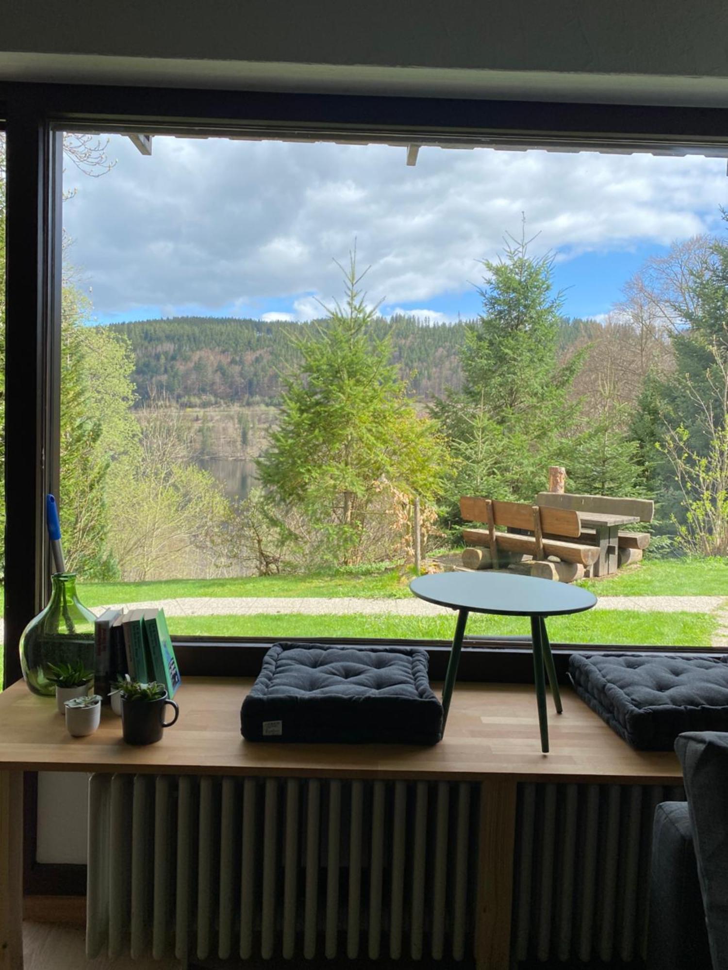 Black Forest Apartments Titisee المظهر الخارجي الصورة