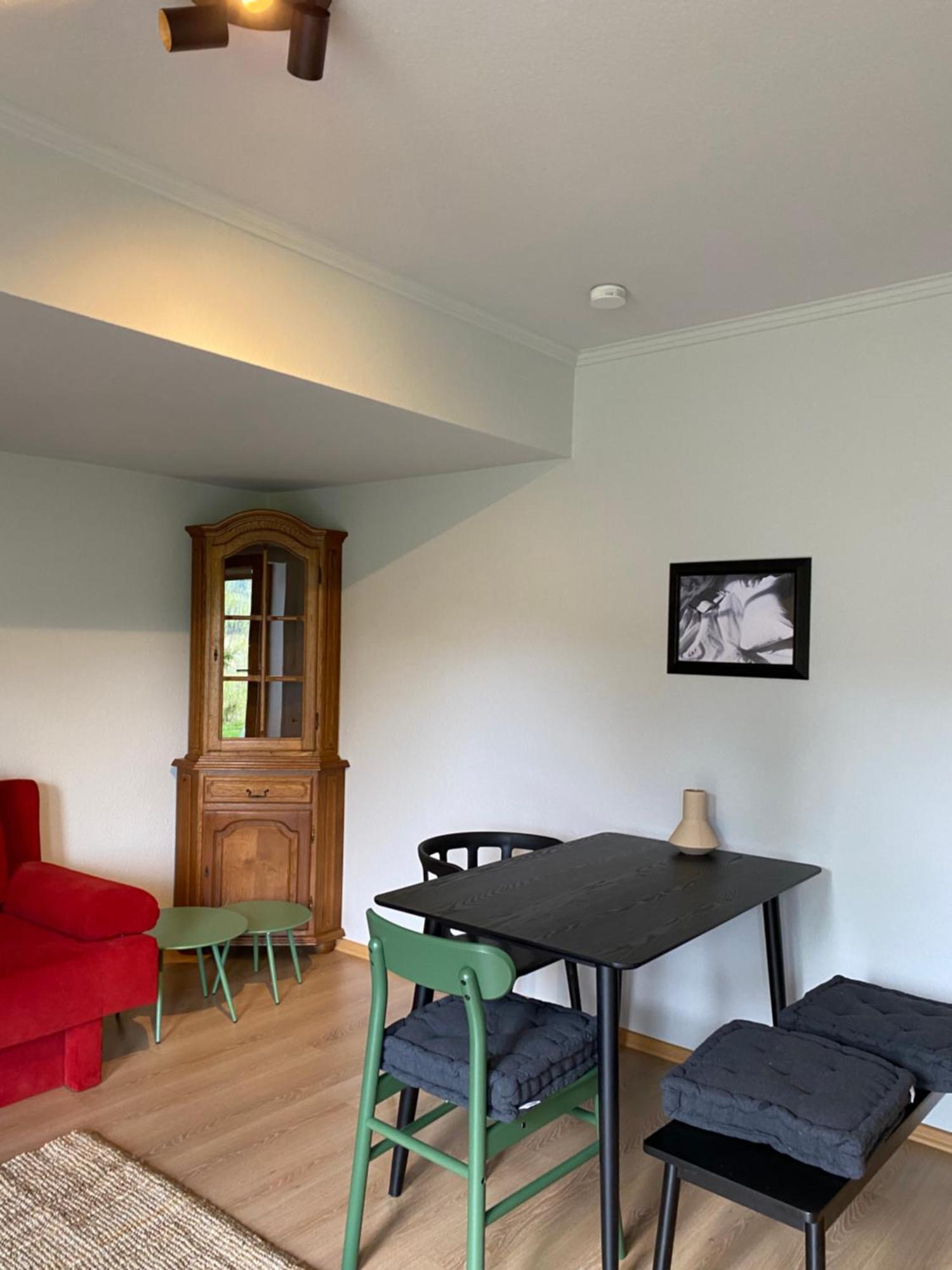 Black Forest Apartments Titisee المظهر الخارجي الصورة